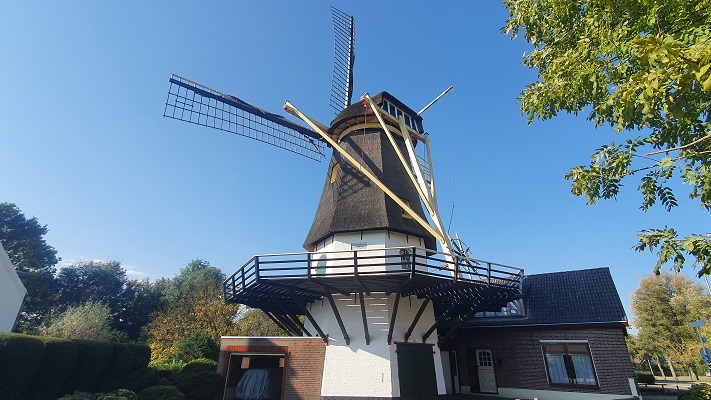 Wandeling over het Biesboschpad van Strijensas naar Maasdam bij molen de Hoop