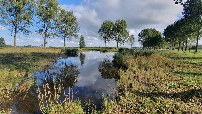 Wandeling over het Grenslandpad van Aardenburg naar Bentille langs de Biezenkreek