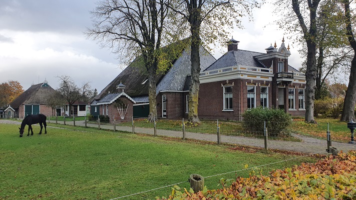 Wandeling over streekpad Noardlike Fryske Walde van Drogeham naar Buitenpost in Twijzel