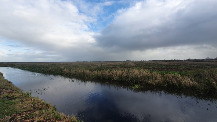 Wandeling over streekpad Noardlike Fryske Walde van Drogeham naar Buitenpost bij de Twijzelermieden