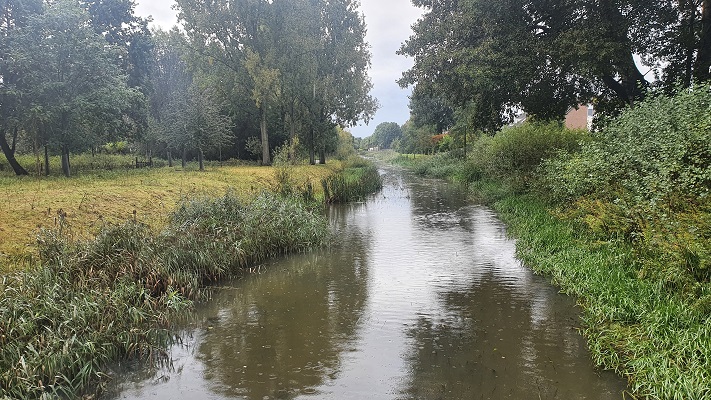 Wandeling over Ons Kloosterpad van Oisterwijk naar de Abdij van Koningshoeven langs de Voorste Stroom