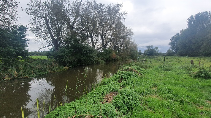 Wandeling over Ons Kloosterpad van Oisterwijk naar de Abdij van Koningshoeven langs de Voorste Stroom