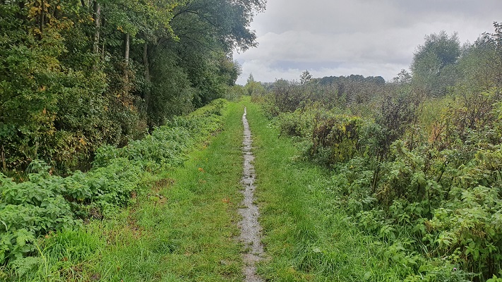 Wandeling over Ons Kloosterpad van Oisterwijk naar de Abdij van Koningshoeven langs de Voorste Stroom