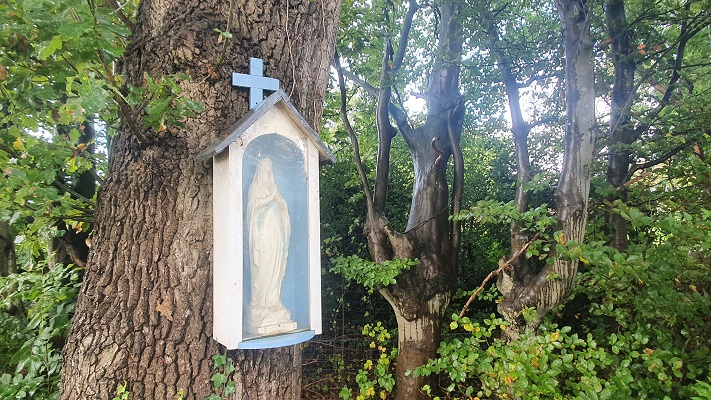 Wandeling over Ons Kloosterpad van Oisterwijk naar de Abdij van Koningshoeven