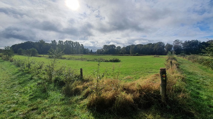 Wandeling over Ons Kloosterpad van Oisterwijk naar de Abdij van Koningshoeven