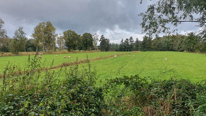 Wandeling over Ons Kloosterpad van Oisterwijk naar de Abdij van Koningshoeven