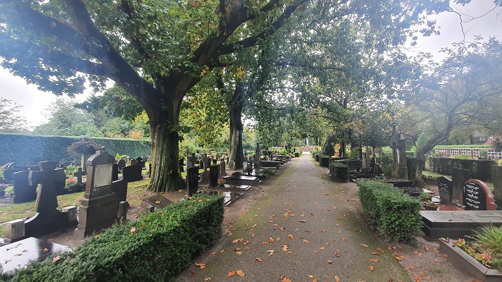 Wandeling over Ons Kloosterpad van Oisterwijk naar de Abdij van Koningshoeven
