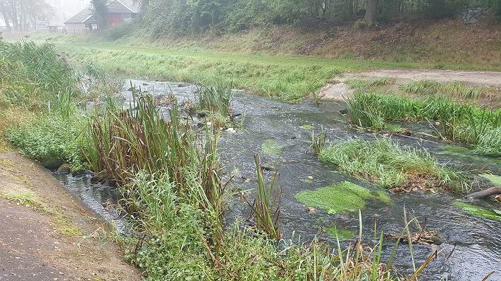 Wandeling over Trage Tocht Haaksbergen langs de Buurserbeek