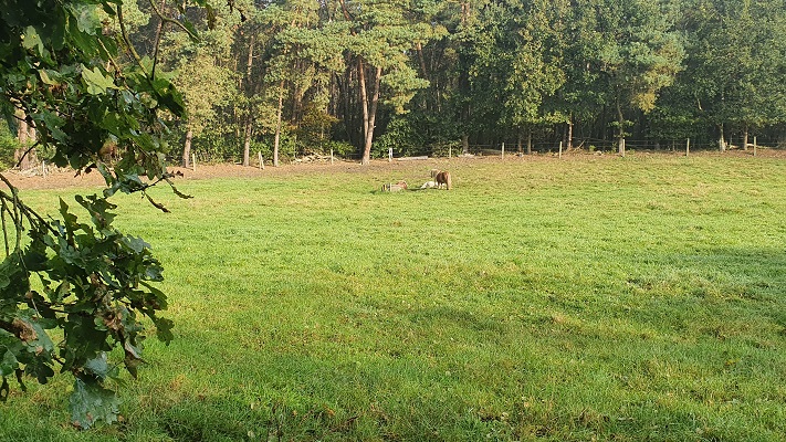 Wandeling over Trage Tocht Haaksbergen