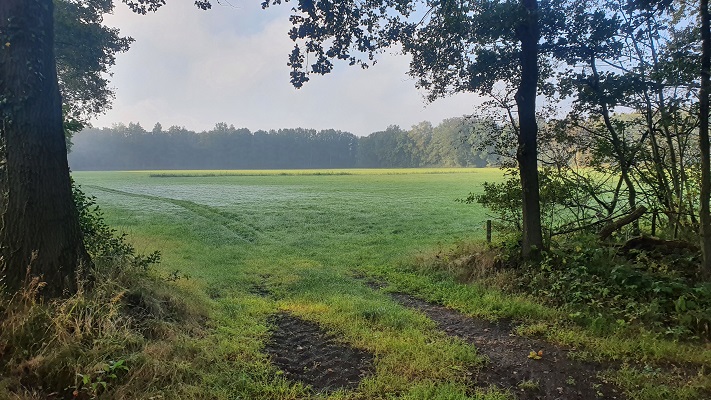 Wandeling over Trage Tocht Haaksbergen