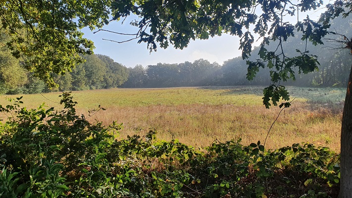 Wandeling over Trage Tocht Haaksbergen bij het Haaksbergerveen