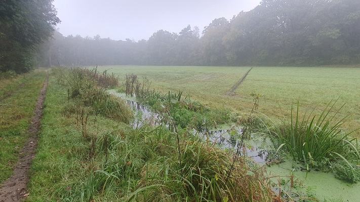 Wandeling over Trage Tocht Haaksbergen langs de Buurserbeek