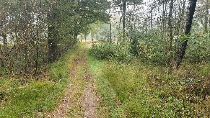 Wandeling over Trage Tocht Haaksbergen langs de Buurserbeek