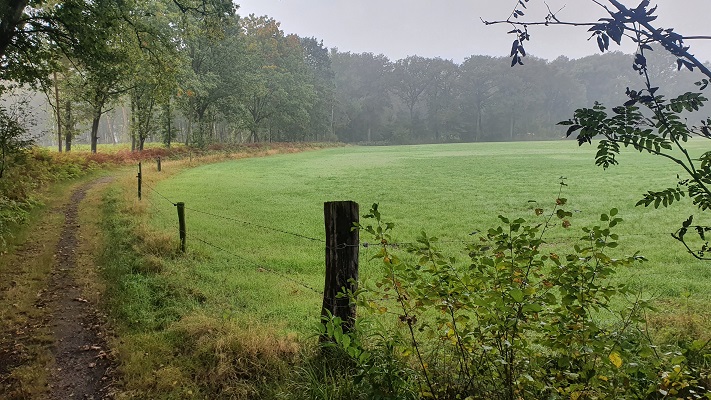 Wandeling over Trage Tocht Haaksbergen