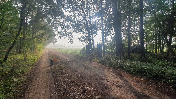 Wandeling over Trage Tocht Haaksbergen