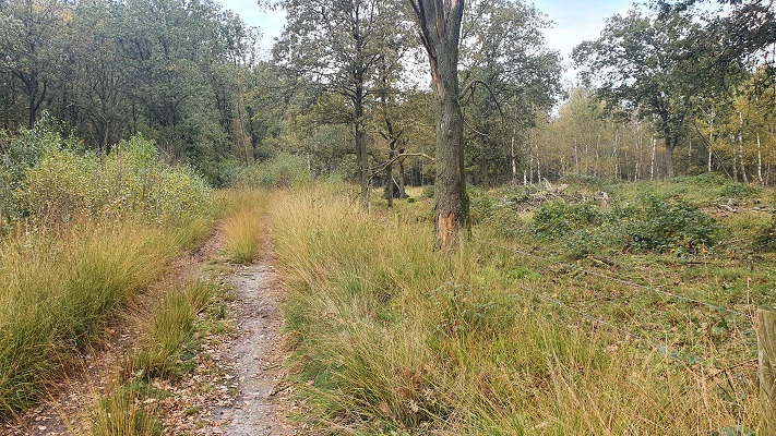 Wandeling over Trage Tocht Heibloem bij de Moost