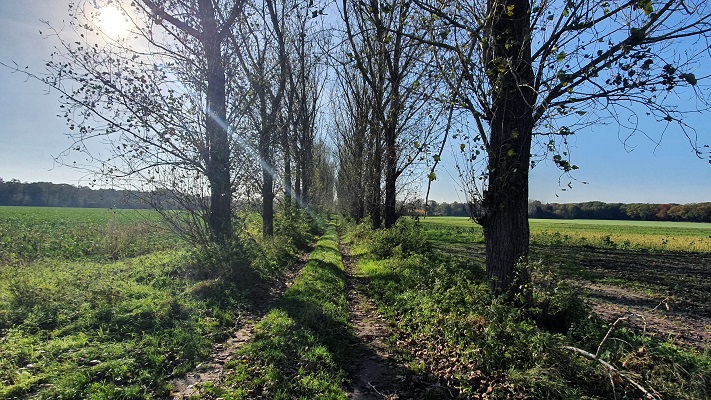 Wandeling over Trage Tocht Heibloem
