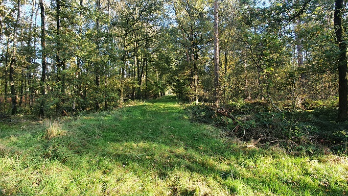 Wandeling over Trage Tocht Heibloem