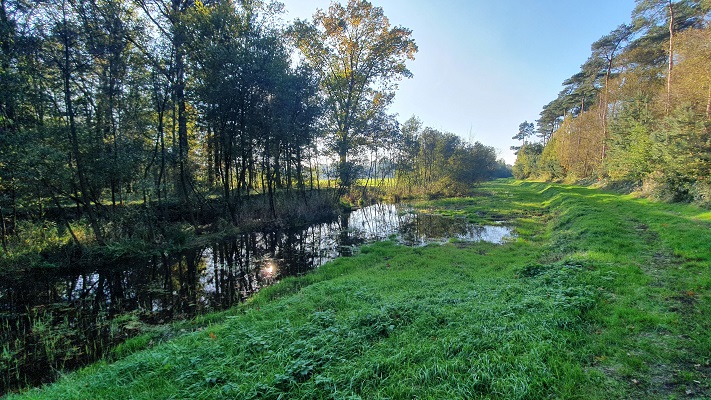 Wandeling over Trage Tocht Heibloem bij de Neerpeelbeek