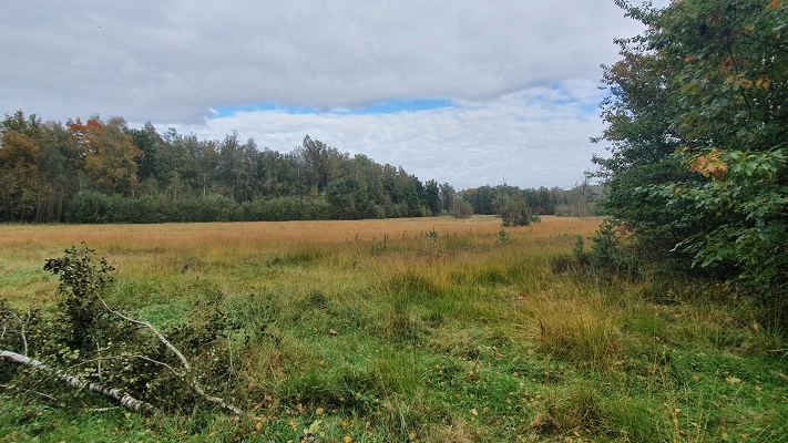 Wandeling over Trage Tocht Heibloem bij de Waterbloem