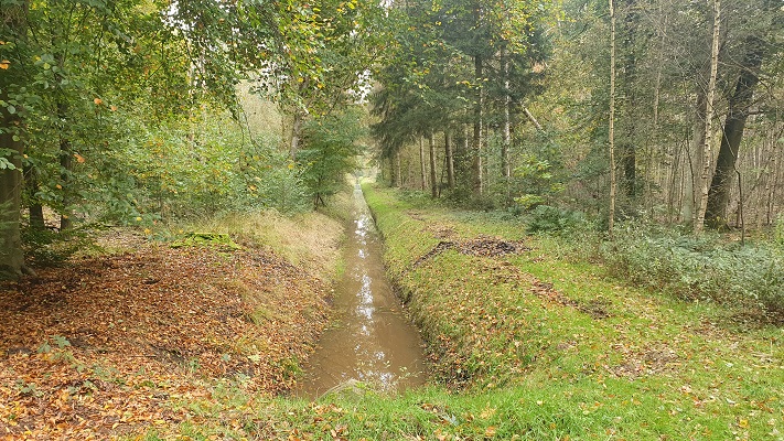 Wandeling over Trage Tocht Heibloem bij de Waterbloem