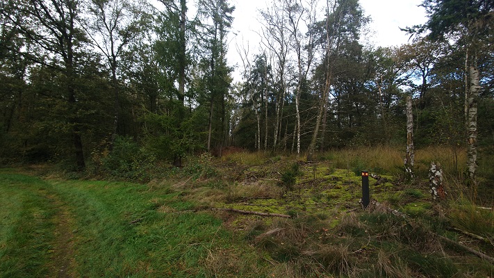 Wandeling over Trage Tocht Heibloem bij de Moost