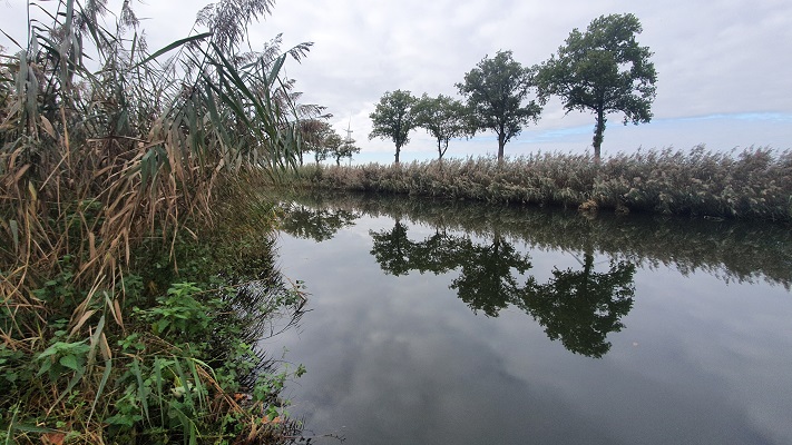 Wandeling over Trage Tocht Heibloem bij de Noordervaart