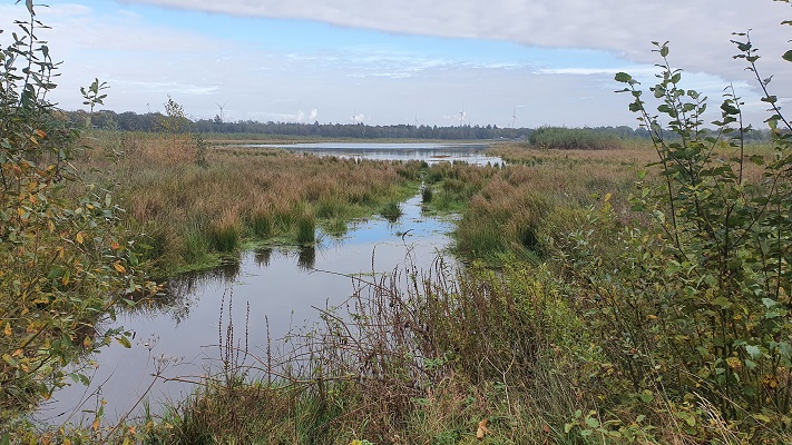 Wandeling over Trage Tocht Heibloem bij de Moost