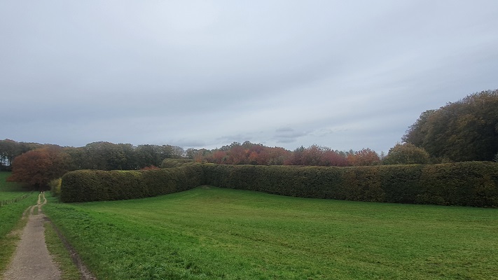 Wandeling over Trage Tocht Oosterbeek Landgoederen bij berceau de Groene Bedstee