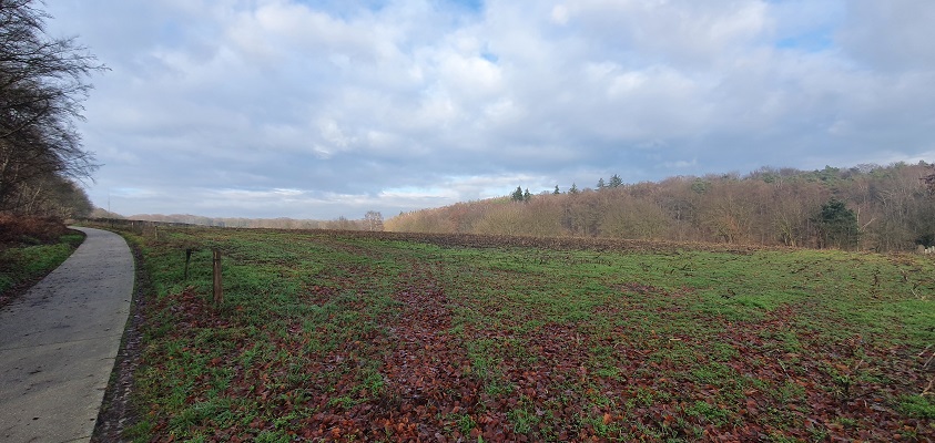 Wandeling over Trage Tocht Plasmolen