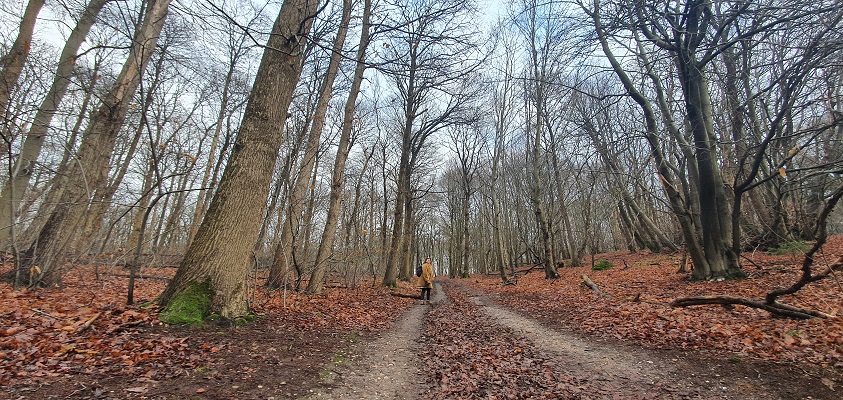 Wandeling over Trage Tocht Plasmolen op de Kiekberg