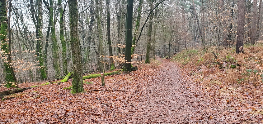 Wandeling over Trage Tocht Plasmolen