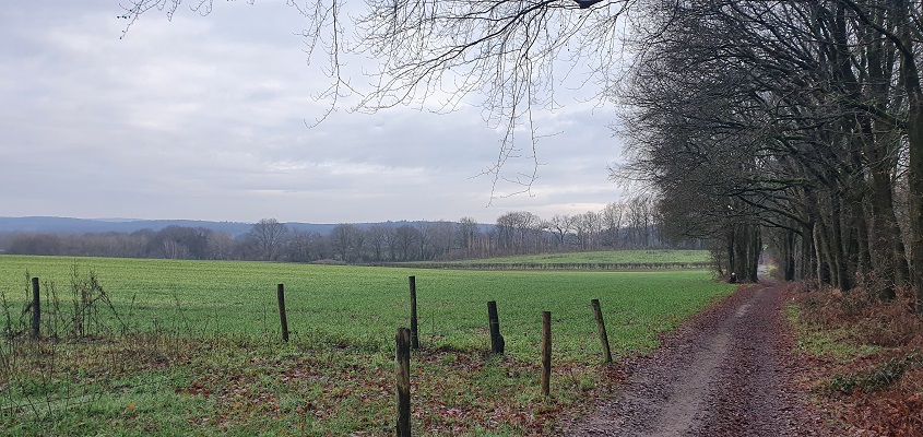 trage-tocht-plasmolen-2-13 Wandeling over Trage Tocht Plasmolen