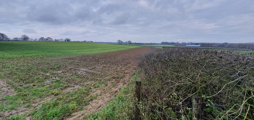 Wandeling over Trage Tocht Plasmolen