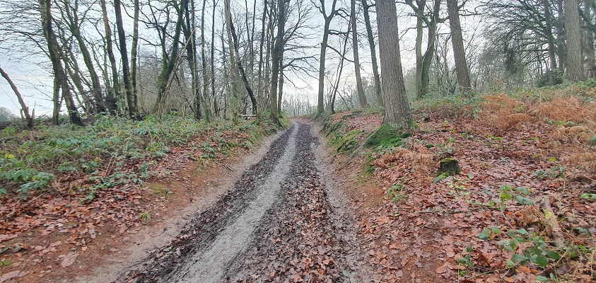 trage-tocht-plasmolen-2-15 Wandeling over Trage Tocht Plasmolen