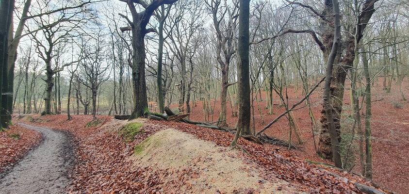 trage-tocht-plasmolen-2-17 Wandeling over Trage Tocht Plasmolen