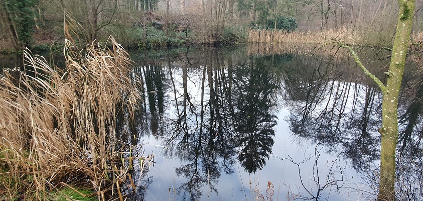trage-tocht-plasmolen-2-18 Wandeling over Trage Tocht Plasmolen bij de watermolen