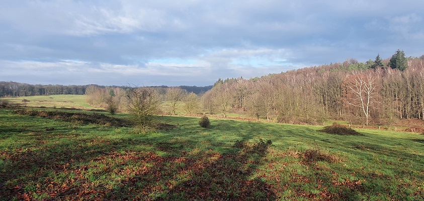 Wandeling over Trage Tocht Plasmolen bij het Zevendal