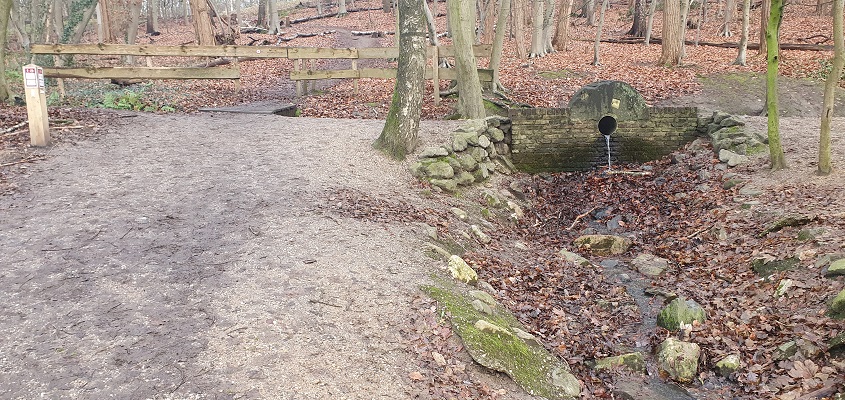 Wandeling over Trage Tocht Plasmolen bij de Sint Jansberg