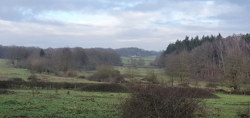 Wandeling over Trage Tocht Plasmolen bij het Zevendal