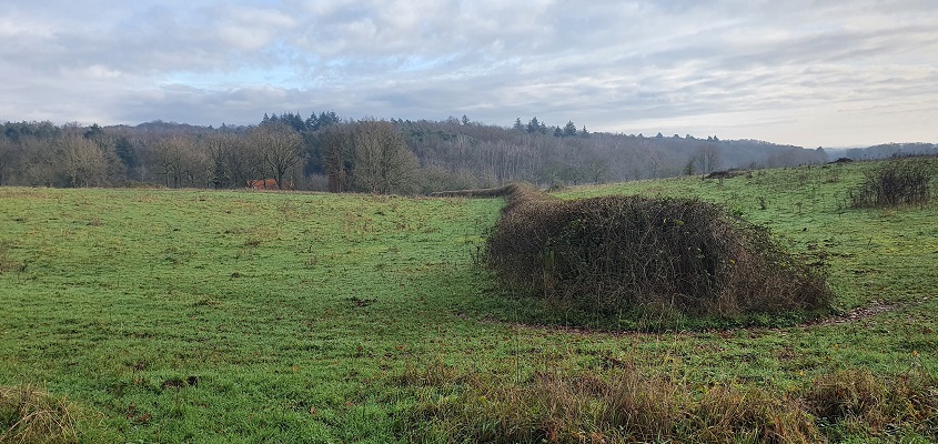 Wandeling over Trage Tocht Plasmolen bij het Zevendal
