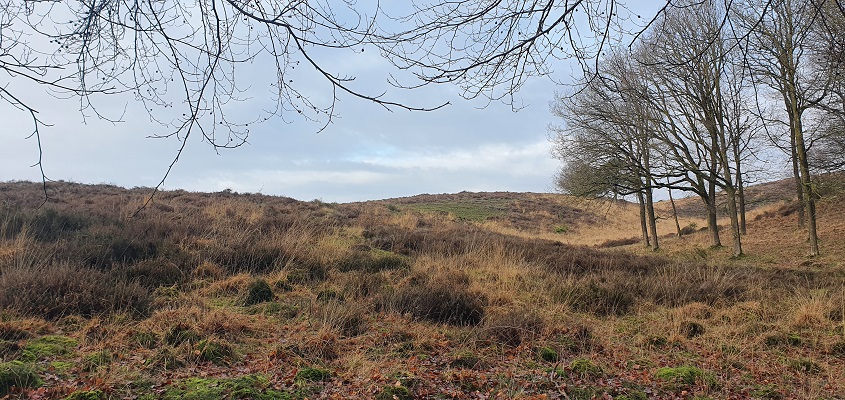 trage-tocht-plasmolen-2-5 Wandeling over Trage Tocht Plasmolen op de Mookerhei