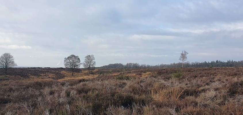 Wandeling over Trage Tocht Plasmolen op de Mookerhei