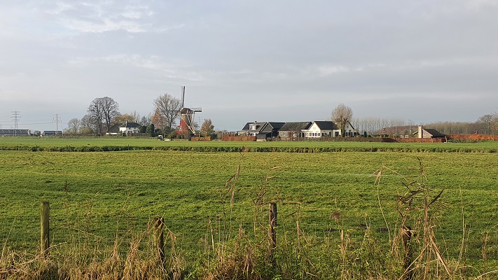 Wandeling over het Betuwepad van Tiel naar Buren in Zoelen