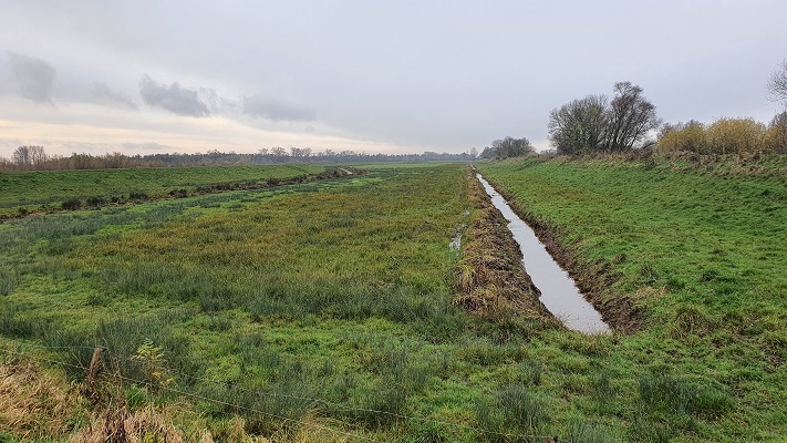 Dagwandeling Jantjesplaat over het Biesboschpad