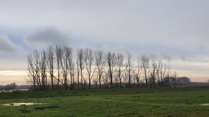 Dagwandeling Jantjesplaat over het Biesboschpad