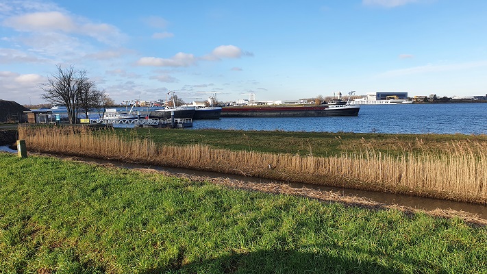 Wandeling over het Biesboschpad door de Noordwaardpolder in Werkendam