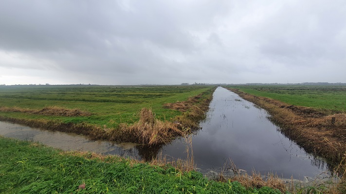 Wandeling over de Noardlike Fryske Walde van Buitenpost naar Damwoude bij de Zwagermieden