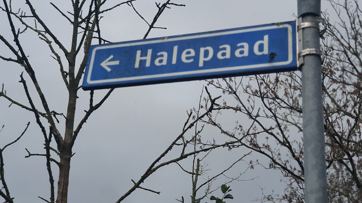 Wandeling over de Noardlike Fryske Walde van Buitenpost naar Damwoude op een Halepaad