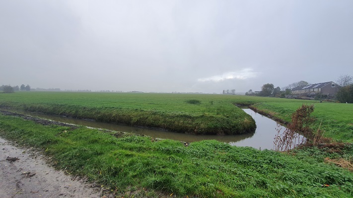 Wandeling over de Noardlike Fryske Walde van Buitenpost naar Damwoude
